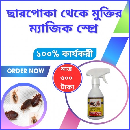 (1 পিচ) Bed Bug (ছারপোকা) Killing Item স্প্রে